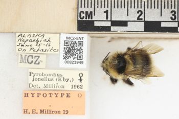 Media type: image;   Entomology 821949 Aspect: labels